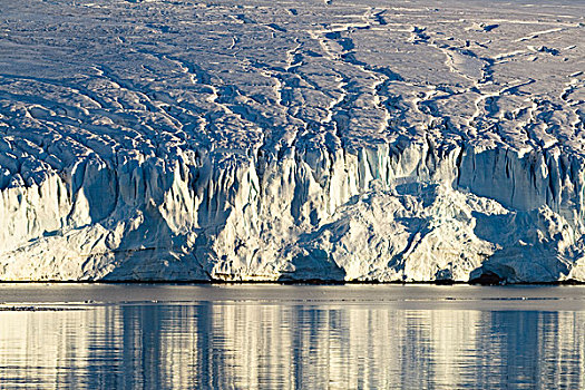 冰河,脚,南极半岛,南极