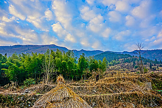 村庄,农村,房子,老屋,土墙,树,小路,道路,晒谷场,稻草,山,蓝天,白云,石墙,鱼鳞云,牛,草,田地,农舍