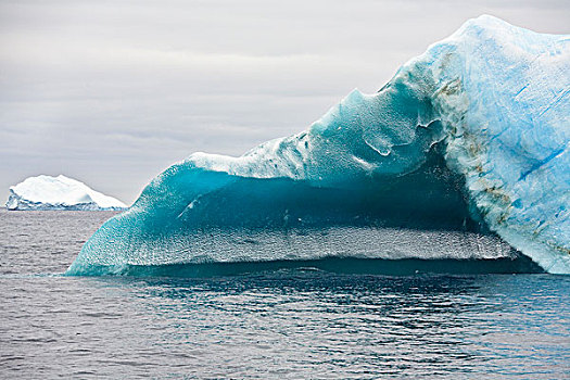 冰山,南极半岛,南大洋,南极