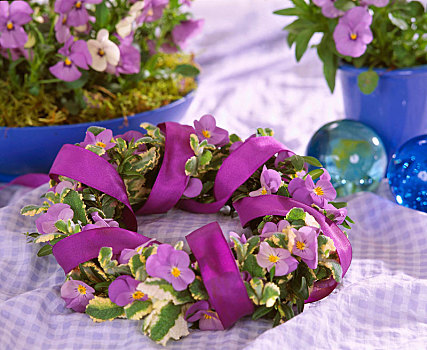 花环,有角,紫色,鼠尾草,带