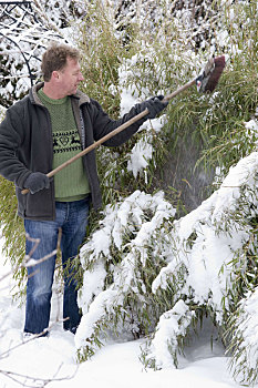 男人,雪,扫帚,竹子
