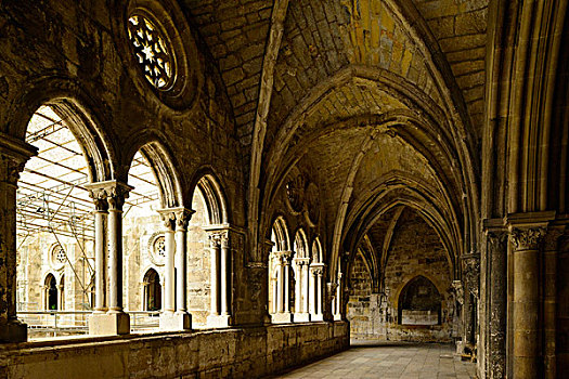 哥特式,柱廊,里斯本,大教堂,葡萄牙
