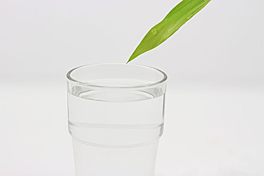纯净水,杯子,绿叶
