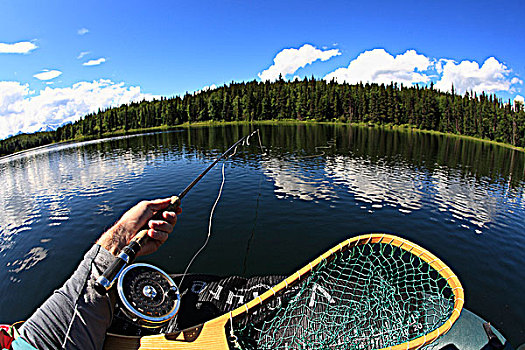 鲑鱼,钓鱼,湖,不列颠哥伦比亚省,加拿大