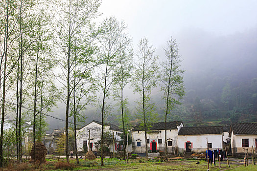 徽居,村落,民居,雨,春雨,老房子,古建筑