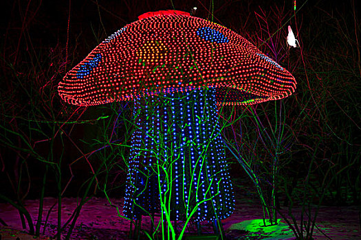 五彩的蘑菇形状的霓虹灯