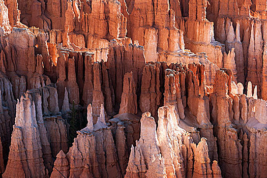 风景,色彩,岩石构造,仙人烟囱岩,晨光,布莱斯峡谷国家公园,犹他,美国,北美