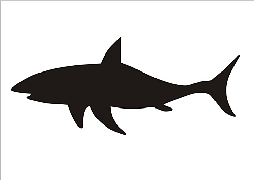 鲨鱼,警告,旗帜