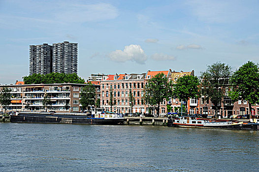 岛屿,河,鹿特丹,荷兰,欧洲