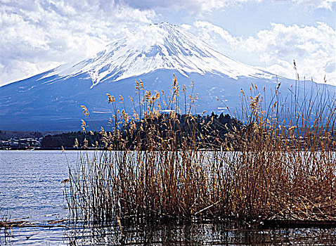 山,富士山,日本