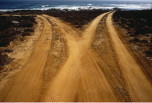 分歧,小路,土路,大西洋海岸,南非
