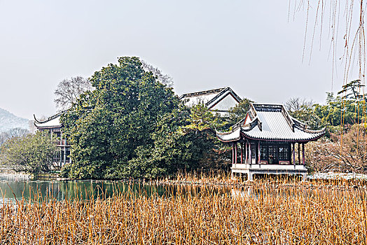 杭州西湖花港观鱼,雪景