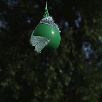 水,绿色,气球