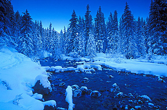冬日奇景,碧玉国家公园,艾伯塔省,加拿大