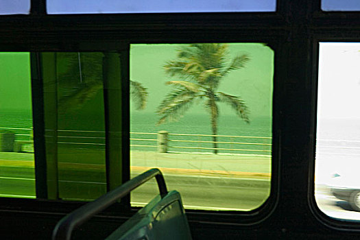 棕榈树,海洋,室内,巴士,玛扎特兰,锡纳罗亚州,墨西哥