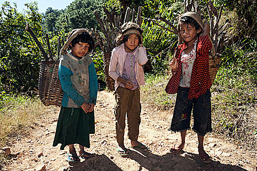 女孩,部落,木柴,乡村,卡劳,掸邦,缅甸,亚洲