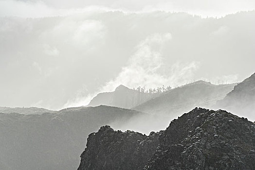 山,雾