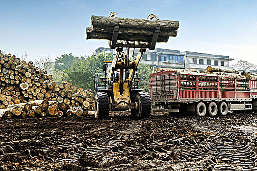 装卸机械在木材厂搬运木头