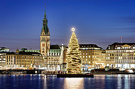 湖,圣诞时节,冷杉,市政厅,汉堡市,德国,欧洲