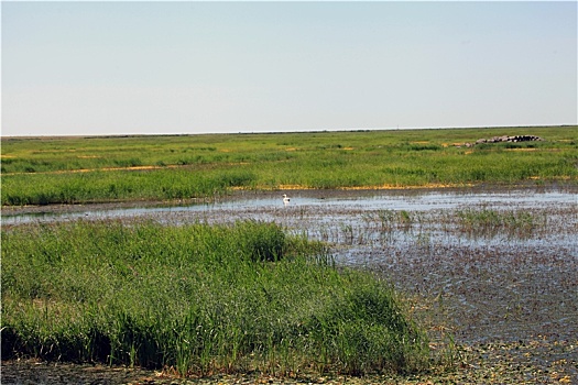 内蒙古乌兰淖尔国家湿地公园