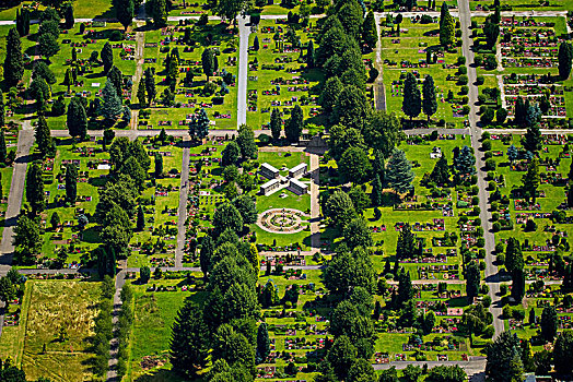 墓地,新,石碑,鲁尔区,北莱茵威斯特伐利亚,德国