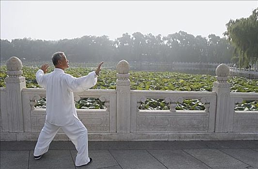 老人,练习,中国人,武术