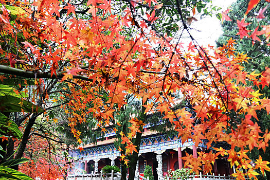 广西全州千年古刹湘山寺