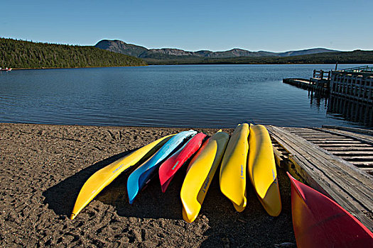 皮划艇,海滩,头部,格罗莫讷国家公园,纽芬兰,拉布拉多犬,加拿大