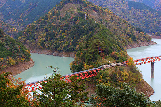 桥,风景,铁路