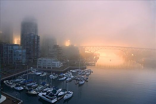 雾,日出,福尔斯湾,温哥华,加拿大