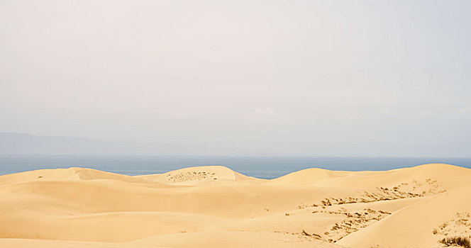 青海,沙漠