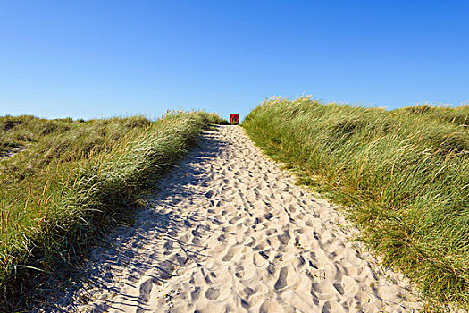 沙,小路,海滩,北方,日德兰半岛,丹麦