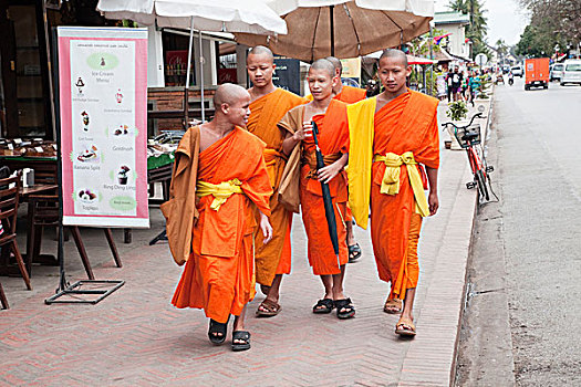 老挝,琅勃拉邦,僧侣,走