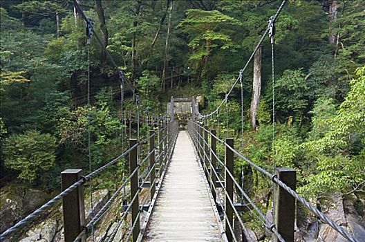 吊桥,九州,日本