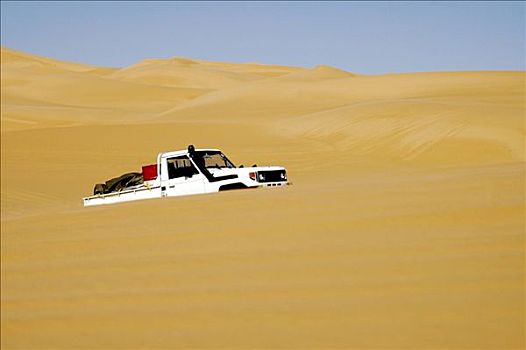 皮卡,四轮驱动,吉普车,沙漠,沙子,绿洲,撒哈拉沙漠,利比亚
