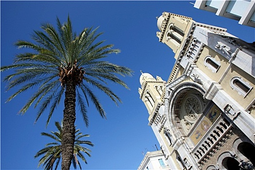 棕榈树,大教堂,突尼斯