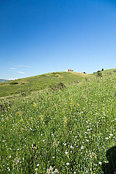 新疆喀拉峻草原峡谷