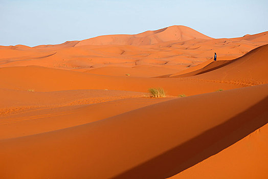 沙丘,却比沙丘,省,摩洛哥,非洲