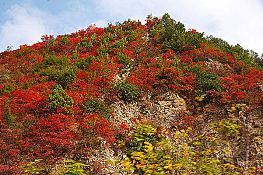 陕西凤县秦岭