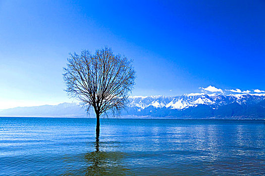 湖,风景,云南,亚洲