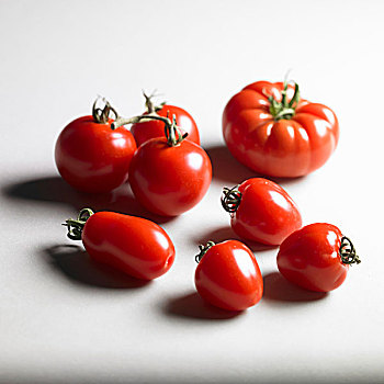 多样,品种,西红柿