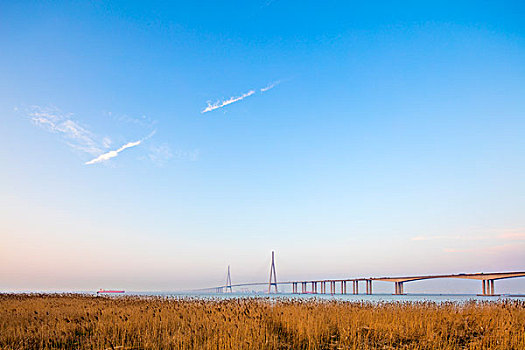蘇通長江大橋