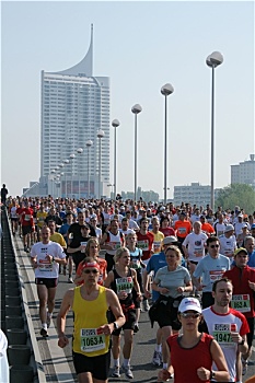 维也纳,城市,马拉松,2008年