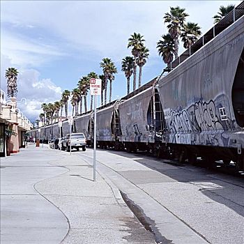 货运列车,靠近,棕榈树