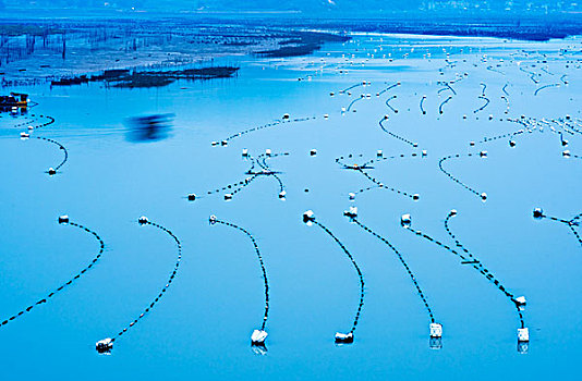 福建霞浦,渔船,养殖