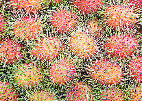 红毛丹果,水果,马来西亚,亚洲