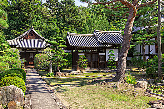 日本,奈良,地面,庙宇,画廊