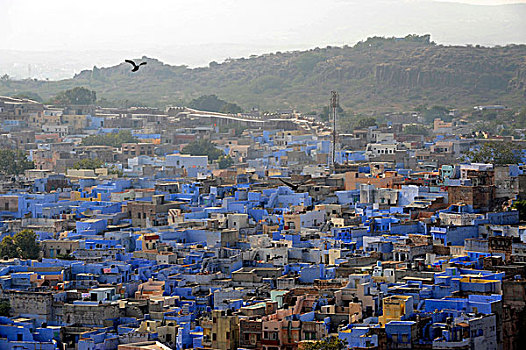 风景,堡垒,蓝色,拉贾斯坦邦,北印度,印度,南亚,亚洲