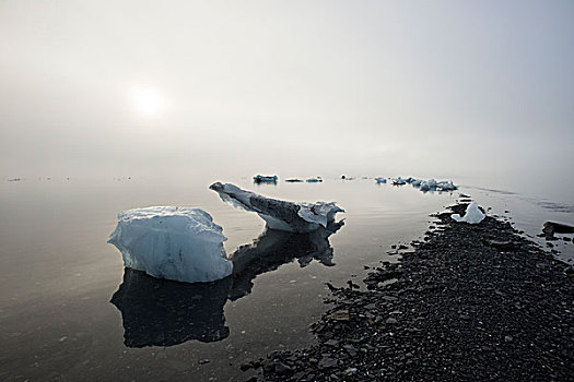 搁浅,冰山,雾,威廉王子湾,阿拉斯加