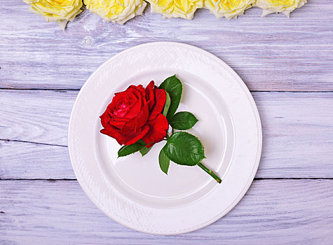 空,白色,盘子,红玫瑰